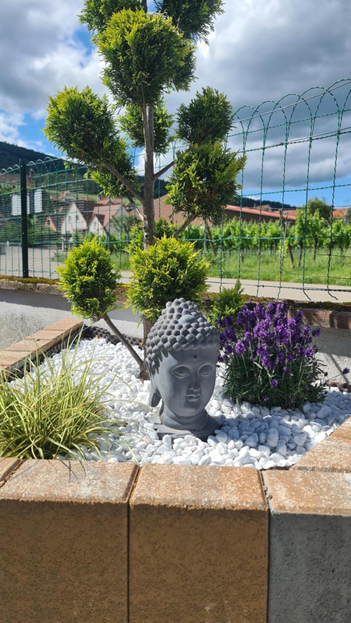 Au Jardin D'Edel Gites Centre Alsace Dieffenthal Extérieur photo